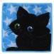  Feiler носовой платок полотенце для рук полотенце носовой платок 25cm черный кошка чёрный кошка o дверь i голубой название inserting возможно платный 