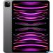 �y�o�b�e���[�ő�e��90���ȏ�ziPad Pro 11�C���`(��4����) Cellular���f��(5G SIM�t���[) 1TB Apple M2�`�b�v Wi-Fi6E �X�y�[�X�O���C ���i ���Ã^�u���b�g