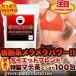 訳あり ワケあり わけあり ダイエット マテ茶 どっさり100包 まて茶 まてちゃ マテちゃ お茶 激安 福袋 人気 ランキング お試しセット