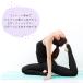 ������Ă��~�� ���b�V�� �g�����J ���M���X ���f�B�[�X �傫���T�C�Y �̌^�J�o�[ ���� �X�|�[�c UV UPF50+ 6L 5L 4L 3L LL L M S : alla polacca �֘A�摜5