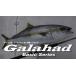 [YAMAGA Blanks]Galahad 61/6 (Spinning Model)yamaga blank s гарантия - do61|6 вращающийся модель 