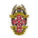 DOGTOWN собака Town RESPECT STICKER 10.1cm стикер наклейка 