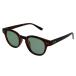 DANGSHADES  ǥ SELECT Brown Tortoise Glossy x Opal Green Polarized (и) 󥰥饹