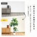 RAKU 150cm �t�F�C�N�O���[�� �o�L�� ��^ �l�H�ϗt�A�� �l�H�ϗt�� �ϗt�A�� �ϗt�� �l�H�A�� �l�H���� �~�� �C���e���A�O���[�� ���A �������O�p �֘A�摜3