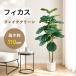 [ ограничение 5%OFF купон ]RAKU человеческий труд декоративное растение fi rental * сирень -ta примерно 110cm искусственная зелень большой растение в горшке много . белый pot белый камень имеется салон интерьер вход 