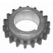 [ параллель импортные товары ]Cloyes S349 Crank Sprocket