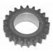 [ параллель импортные товары ]Cloyes S431 кривошип звездочка Cloyes S431 Crank Sprocket