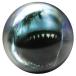 [ параллель импортные товары ]Brunswick Shark свечение pre drilled viz a ballbo- кольцо мяч Brunswick Shark