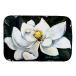 [ параллель импортные товары ]Caroline's Treasures MW1282DDM Sweet Magnolia посуда сухой коврик 14 x 21 дюймовый 