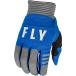 [ параллель импортные товары ]FLY Racing Youth F 16 Gloves (Blue/Grey, Youth X Small) Fly Racin