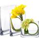 ¹͢ʡCYS EXCEL 3 pcs Glass Book Vases (Height 6