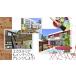 Home Design 3D�i�z�[���f�U�C��3D�jWindows/Mac�Ή��ySTEAM�Łz/ �����z���O�̉Ƌ�̔z�u��͗l�ւ��Ȃǂ̃V�~�����[�V�����ɍœK �֘A�摜3