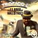 Tropico 6: The Llama of Wall Street DLC[PC/Steam версия ]/ Toro pico 6 лама *ob wall * Street дополнение содержание 