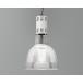 ENDOLEDƥ˥ڥ ŷ 7500lm 5000K Fit ᥿ϥ饤250W ̵Ĵ EFP7265W+RS929C ʥա