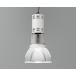 ENDOLEDƥ˥ڥ ŷ 7500lm 4000K Fit ᥿ϥ饤250W ̵Ĵ EFP7266W+RS928C ʥա