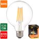 �I�[���d�@�@LED�t�B�������g�^�C�v�d���@�{�[�����`�@�N���A�^�C�v�@�{�[����100W�����@�d���F�@�d�Q�U�����@�@LDG10L C6 (06-3458)