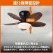 �y2026�V�o��z�V�[�����O�t�@�����C�g ������� 5�H�� ��@ �k�� ���t��] �t�@�� �V�[�����O�t�@�� 8�� 10�� 12�� LED�V�[�����O���C�g �Ɩ���� �V��Ɩ� �֘A�摜2