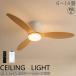 �V�[�����O�t�@�����C�g led �������F ��@ 8�� 10�� 14�� �t�@���t���Ɩ� �V�[�����O���C�g �k�� �t��]�@�\ �Ɩ���� �V��Ɩ� 3�H�� �y�� ���^ ��C�z��