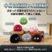 2026������AI�y�b�g AI �ʂ������ AI ���{�b�g ����ׂ� ���� �m��ߋ� AI���� AI�w�K ChatGPT�Ή� �p�� ���{�� �����F�� �������� �q�� �v���[���g �j ���̎q �֘A�摜3