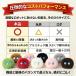 2026������AI�y�b�g AI �ʂ������ AI ���{�b�g ����ׂ� ���� �m��ߋ� AI���� AI�w�K ChatGPT�Ή� �p�� ���{�� �����F�� �������� �q�� �v���[���g �j ���̎q �֘A�摜4