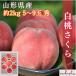  скорейший предварительный заказ специальная цена Yamagata префектура производство белый персик Sakura примерно 2kg(5~9 шар ) превосходящий товар 9 месяц средний .~ l персик белый персик фрукты фрукты 