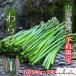 распродажа цена # Yamagata префектура производство весна. дикоросы глубокий гора сырой ...1kg дерево пепел имеется 5 месяц средний .~. брать день отправка 