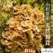  предварительный заказ # Yamagata префектура производство натуральный Mai . примерно 1kg 10 месяц сверху .~