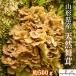  предварительный заказ # Yamagata префектура производство натуральный Mai . примерно 500g 10 месяц сверху .~