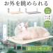  cat hammock window cat window bed suction pad type cat hammock cat cat bed folding type powerful suction pad window .. cat bed installation easiness mesh ventilation 