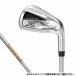  XXIO XXIO X XXIO X steel iron 2024 Golf single goods iron DG95 2024 year of model men's Dunlop XXIO