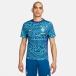  Nike мужской футбол лицензия рубашка Brazil красный temi- Pro Dri-FIT pre Match Short рукав верх CBF DF ACDPR S/S PM FJ2723-445 NIKE