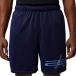  Jordan мужской дамский баскетбол одежда шорты SPT Dri-FIT сетка графика шорты IF0872-410 : темно-синий JORDAN