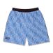  арка мужской дамский баскетбол шорты Arch three star BB shorts B126-112 : голубой Arch