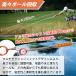 �S���t�{�[�����g���o�[ �L�k�� �S���t�{�[���s�b�J�[ �S���t�{�[�� �E���@ �{�[���E�� ���W�@ �{�[������p�� AM220930 �֘A�摜1