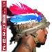 [ б/у ][524] CD N.E.R.D.nasing1 листов комплект PARTY PEOPLE новый товар кейс замена бесплатная доставка UICY-25436