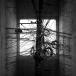 [ б/у ][151] CD WHITE ASH THE DARK BLACK GROOVE 1 листов комплект новый товар кейс замена бесплатная доставка VPCC-81832