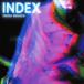 š[517] CD  INDEX DVD ŵʤ ʥ ̵ MJCD-20201