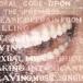 [ б/у ][212] CD * зарубежная запись ala лак *mo переустановка Supposed Former Infatuation Junkie 1 листов комплект новый товар кейс замена бесплатная доставка 
