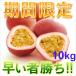  with translation passionfruit 10kg passionfruit 10kg clock . Amami Ooshima 