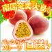  маракуйя 3kg.. для маракуйя 3kg часы . Amami Ooshima 