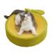  кошка bed кошка для коготь .. кошка диван . лен коготь точить 4 сезон соответствует .... круглый коготь полировальный -тактный отсутствует аннулирование высокая плотность модный долговечность довольно большой натуральный лен шнур .. коврик компактный ..