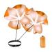  бег скорость Shute энергия Shute umbrella футбол core прочность ребенок взрослый orange 