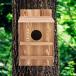  bird house дерево bird house товары для домашних животных оборудование орнамент ..klieitib сова уличный bird box наружный. обратная сторона двор для 