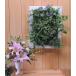 壁面造花 ディスプレイC　(インテリア ウォールデコレーション 人工植物 アートフレーム グリーン)
ITEMPRICE