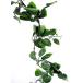  rose Galland 5 шт. входит .(tsuta искусственная зелень интерьер искусственный цветок leaf DIY стена поверхность оборудование орнамент наружный использование возможность . простой casual модный )