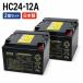 HC24-12A 2�Z�b�g �G�i�W�[�E�B�Y �T�C�N�����������~�d�r �f�B�[�v�T�C�N�� �d���Ԃ��� �V�j�A�J�[�p