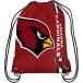���¹�͢���ʡ�NFL������å��Хå� FOCO Big Logo Drawstring Backpack-P NFL�饤����