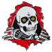 pa well * винт rutaPOWELL PERALTA RIPPER LAPEL PIN GLOW IN THE DARKlaperu булавка значок риппер коллекция аксессуары (2502)