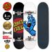  солнечный ta круиз SANTA CRUZ 8.25in SANTA CRUZ PREMIUM COMPLETE оригинал Complete готовый сборка товар sk Lee ming рука Independent впервые (2607)