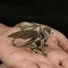 . body латунь крыло дракон Dragon украшение China. миф маленький крыло дракон изображение Vintage Dragon украшение Home стол оборудование орнамент 